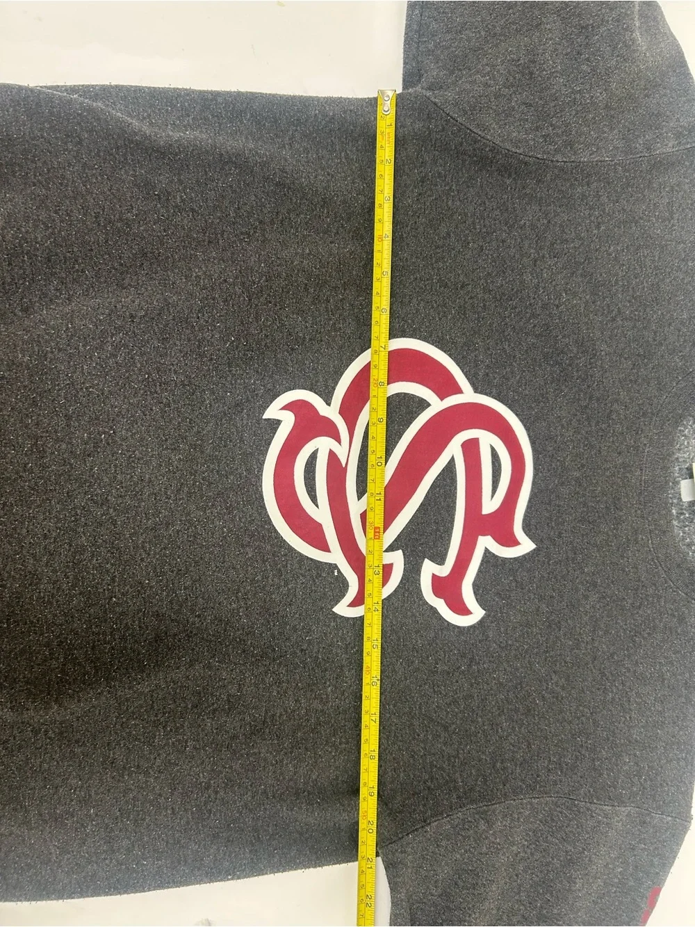 South Carolina gamecocks medium champion sweatshirt